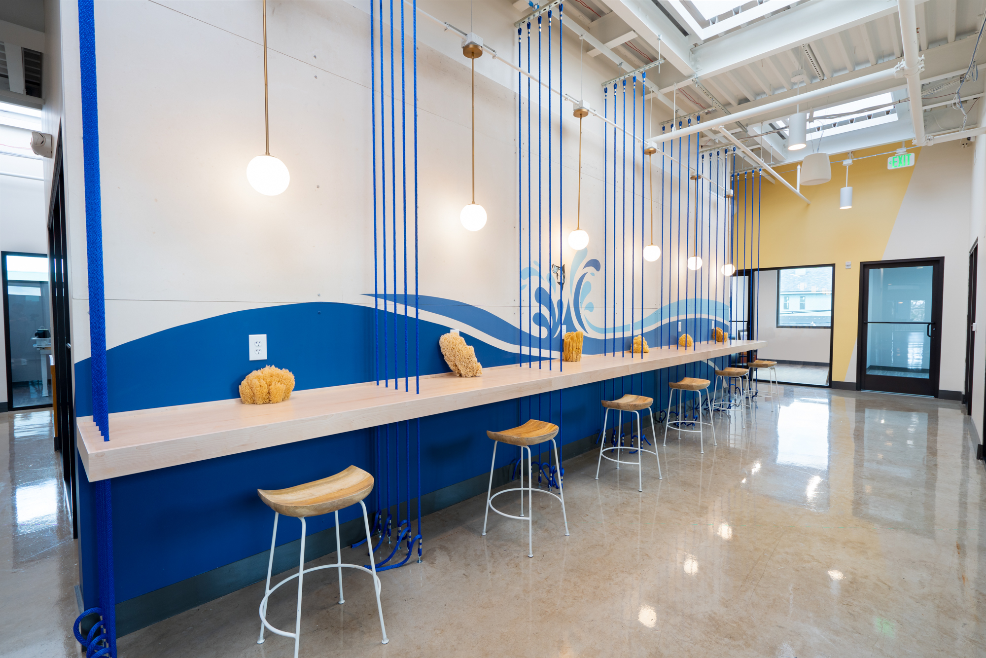 cohatch-tarpon-springs